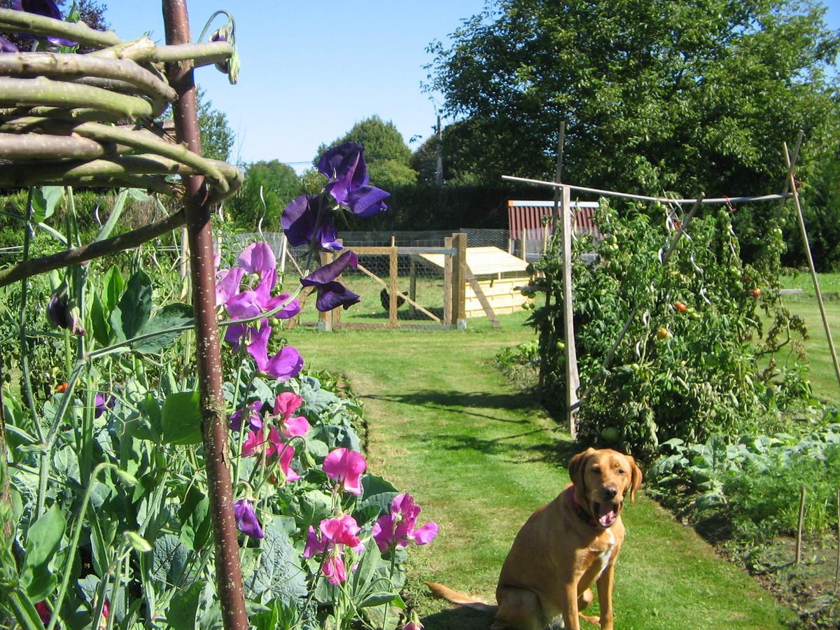 Le Canard Au Parapluie Rouge Bed & Breakfast Celon Bagian luar foto